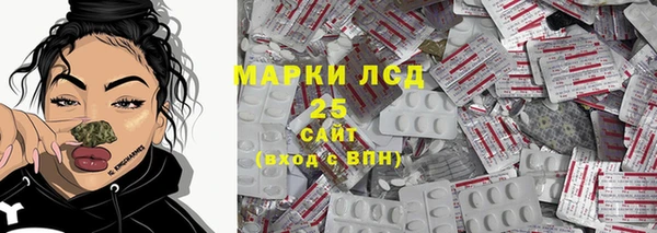apvp Алзамай